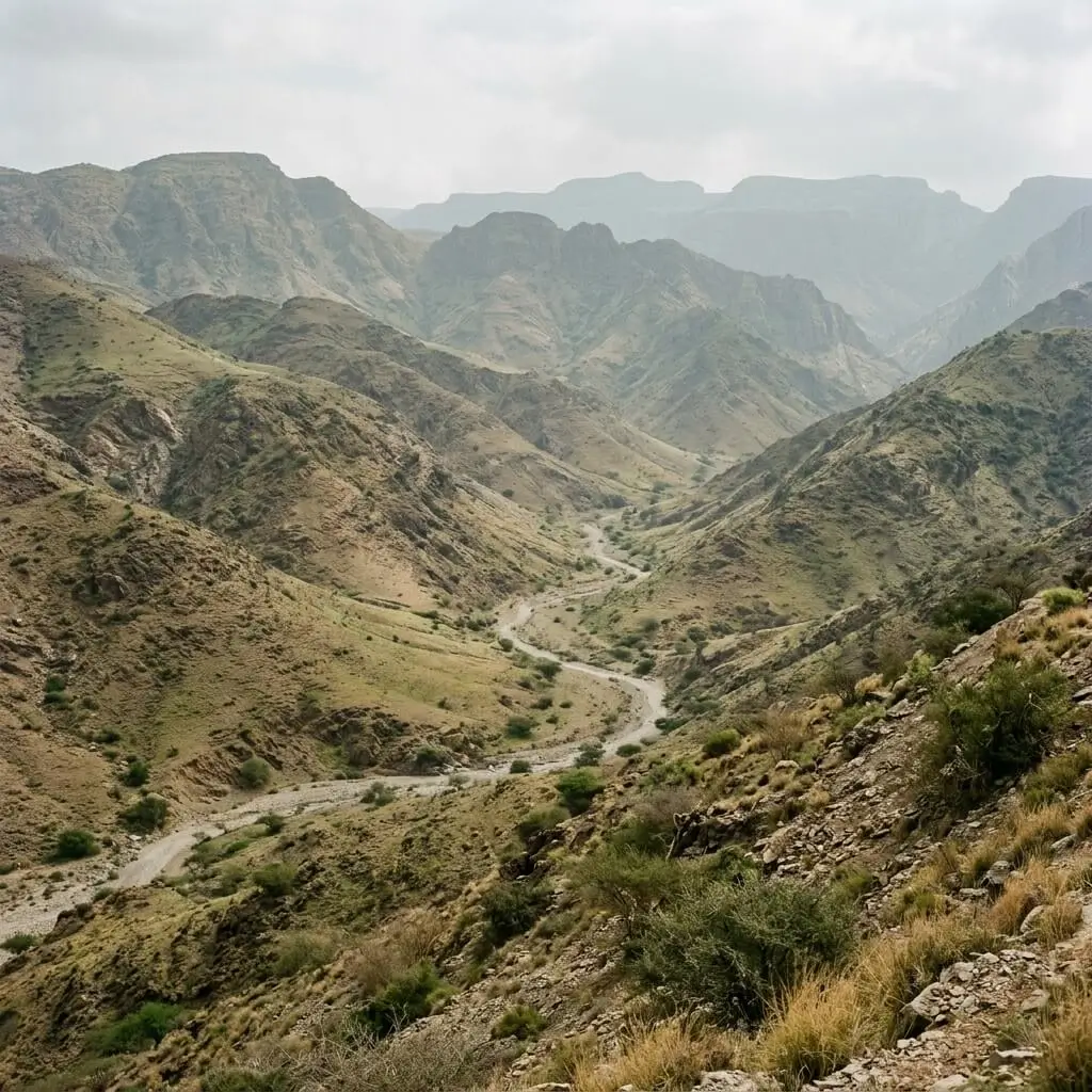 Mountains